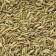 Fennel Seed